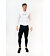 Pánské běžkařské kalhoty Swix Focus Warm Tights M